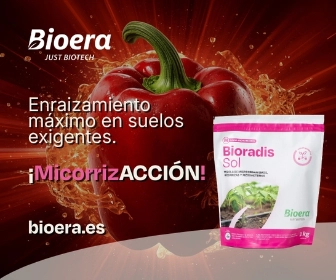 POST 3 BIOERA MAYO 2026