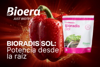 POST 3 BIOERA MAYO 26