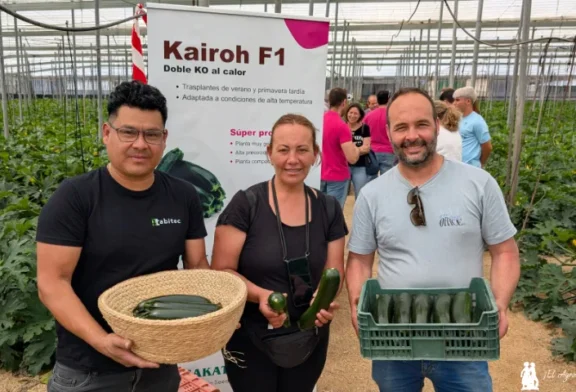 Kairoh es el calabacín resistente a Nueva Delhi más temprano de Sakata