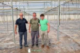 Soil se consolida como la biodesinfección alternativa en el invernadero