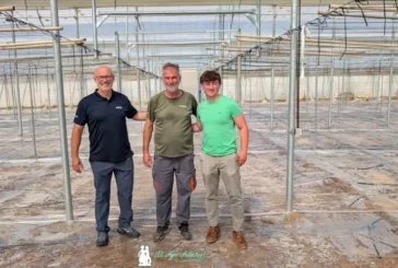 Soil se consolida como la biodesinfección alternativa en el invernadero