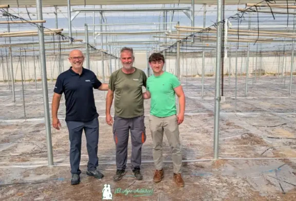 Soil se consolida como la biodesinfección alternativa en el invernadero