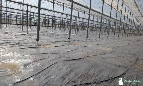Solarización de invernaderos en Almería / agroautentico.com