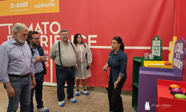 The tomato Games! / agroautentico.com
