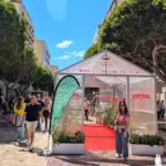 Un invernadero solar en el Paseo de Almería / agroautentico.com