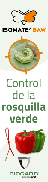 RASCACIELOS 1 BIOGARD 2026