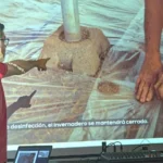 Andrés Linares, Sotrafa, explicando la solarización / agroautentico.com