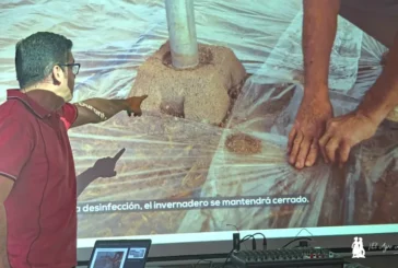 Sotrafa presenta novedades en plásticos de solarización y de cubierta
