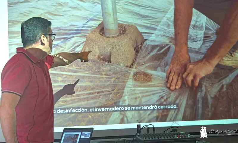 Sotrafa presenta novedades en plásticos de solarización y de cubierta