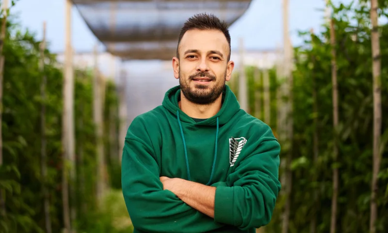 “Arranqué Bernabel a mitad de mayo y la planta seguía verde y rebrotando”