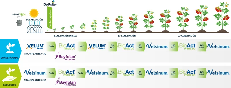  Ejemplo de recomendación de Bayer para un cultivo de campaña de otoño ciclo largo