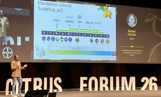 Bayer lleva a Citrus Forum su estrategia integrada frente a cotonet, piojo, araña y nuevos trips