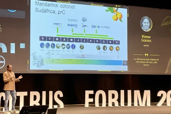 Bayer lleva a Citrus Forum su estrategia integrada frente a cotonet, piojo, araña y nuevos trips