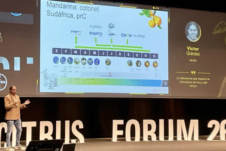 Bayer lleva a Citrus Forum su estrategia integrada frente a cotonet, piojo, araña y nuevos trips
