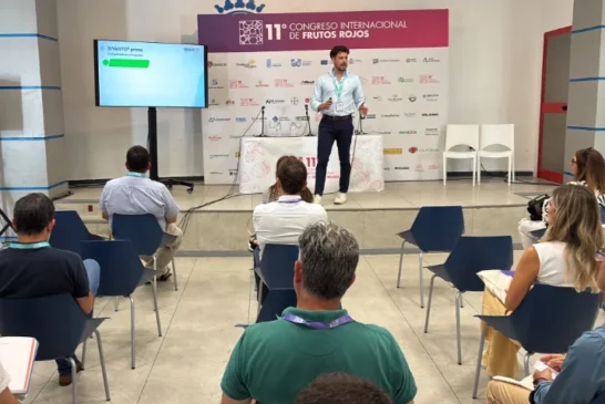 Biológicos, materias activas y herramientas digitales en la estrategia de Bayer en berries