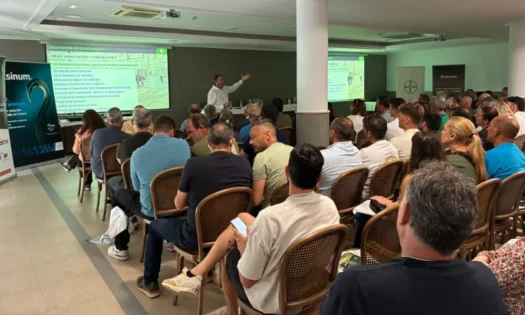 Bayer y Sotrafa avalan una estrategia de solarización para combatir el rugoso