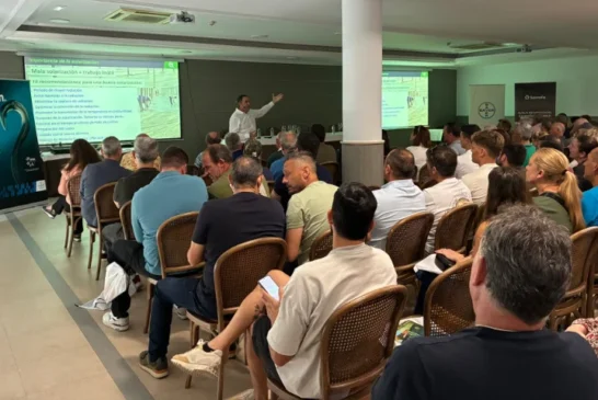 Bayer y Sotrafa avalan una estrategia de solarización para combatir el rugoso