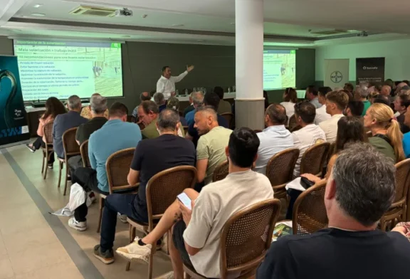 Bayer y Sotrafa avalan una estrategia de solarización para combatir el rugoso