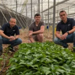 Biosur / agroautentico.com