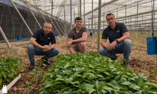 Biosur / agroautentico.com