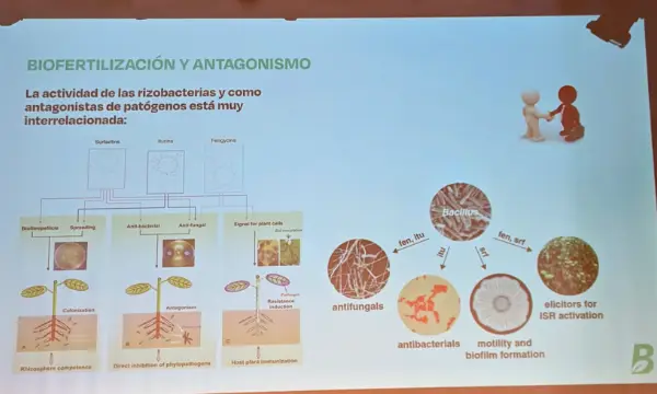 Charla de Bioera en el Simposio de Suelos de Albuñol / agroautentico.com