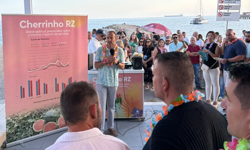 Cherrinho RZ protagoniza el cierre de la ca 3mpaña de sandía en Almería