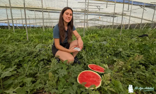 Cristina Miralles preparando la medición del azúcar / agroautentico.com