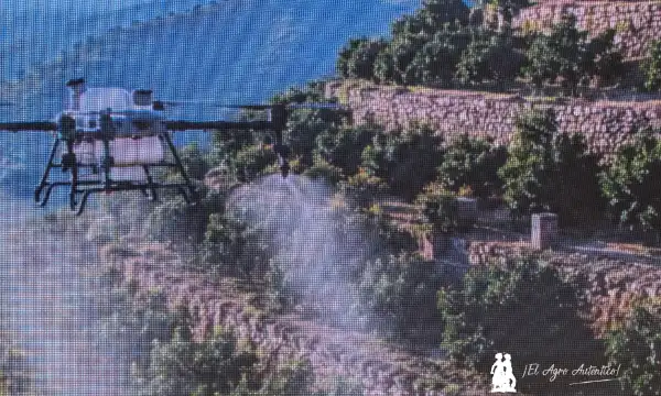 Drones en la agricultura / agroautentico.com