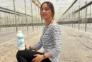 Ecoculture consigue una mayor eficacia en la desinfección de suelos
