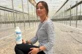 Ecoculture consigue una mayor eficacia en la desinfección de suelos