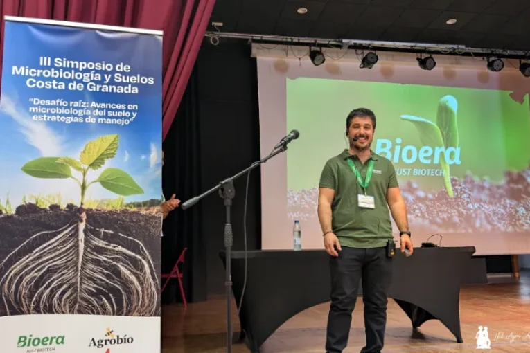 Bioera da vida con hongos y bacterias a los 2 milímetros de rizosfera alrededor de la raíz