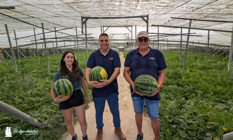Equipo de Diamond Seeds en Almería: Cristina Miralles, Sergio Moreno y Paco Alonso / agroautentico.com