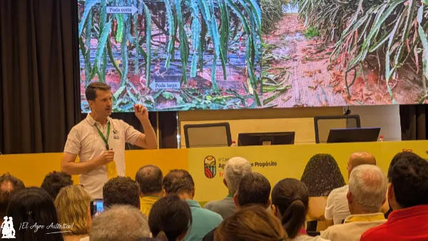 Fernando Chiamolera, investigador brasileño de la Universidad de Almería (UAL) en el Congreso Agricultura con Propósito de La Palma / agroautentico.com