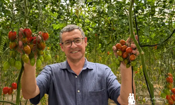 José Manuel Estévez Caparrós, director de I+D en Unica / agroautentico.com
