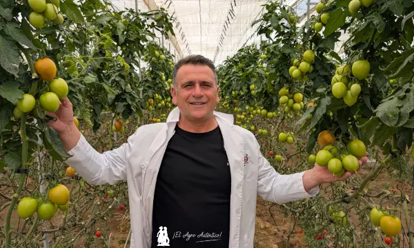 José Miguel Castillo Sánchez, Biotomate / agroautentico.com
