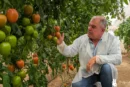 Con Isiaki despedimos la temporada de tomate en Almería