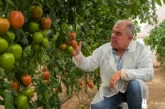 Con Isiaki despedimos la temporada de tomate en Almería