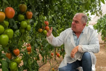Con Isiaki despedimos la temporada de tomate en Almería