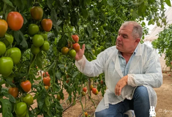 Con Isiaki despedimos la temporada de tomate en Almería