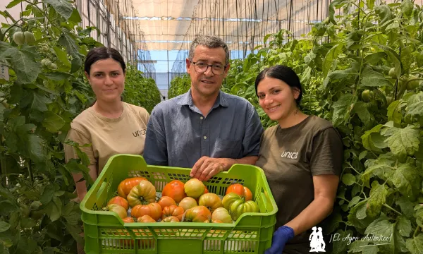 Loli, Mª José y José Manuel con tomate asurcado para ciclos de verano / agroautentico.com