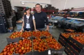 Biotomate cumple dos décadas en ecológico y una en biodinámica