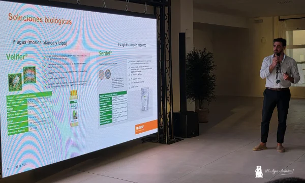 Nunhems da un salto en pepino con variedades resistentes a CaBYV 15