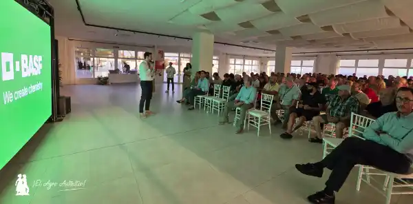 Nunhems da un salto en pepino con variedades resistentes a CaBYV 12