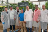 Rijk Zwaan introduce la alta resistencia a CGMMV en pepino francés con Veloran