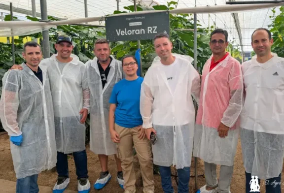 Rijk Zwaan introduce la alta resistencia a CGMMV en pepino francés con Veloran