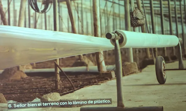 Plásticos de solarización / agroautentico.com