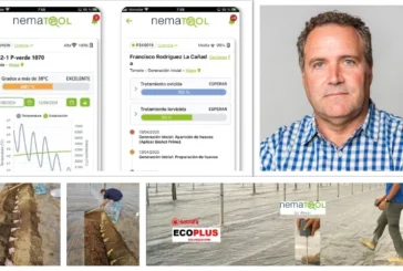 Recomendaciones para mejorar la eficacia de la solarización en el manejo de nematodos