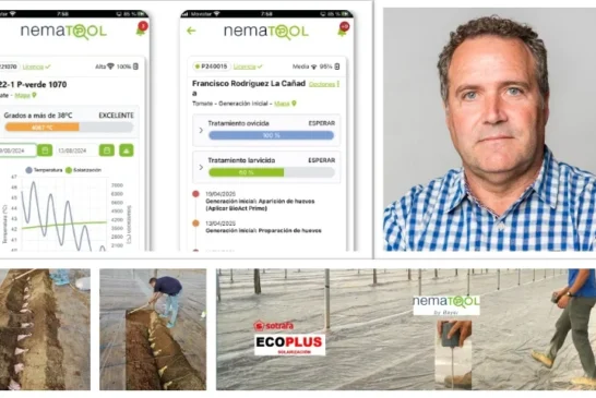 Recomendaciones para mejorar la eficacia de la solarización en el manejo de nematodos