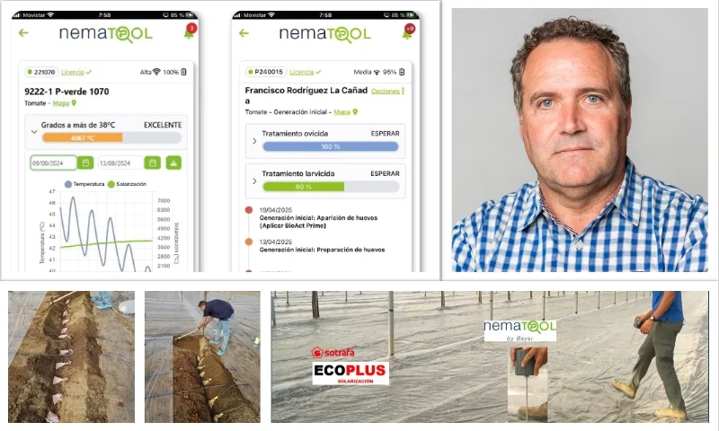 Recomendaciones para mejorar la eficacia de la solarización en el manejo de nematodos