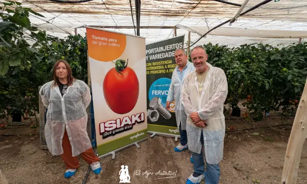 Técnicos de CASI en la jornada de tomate Isiaki / agroautentico.com